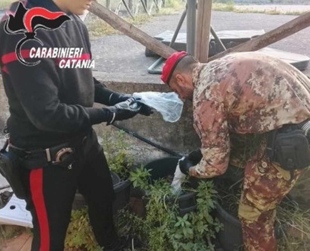 Paternò, vede i Carabinieri e lancia uno zaino dal balcone: arrestato 49enne con crack e cocaina - 
