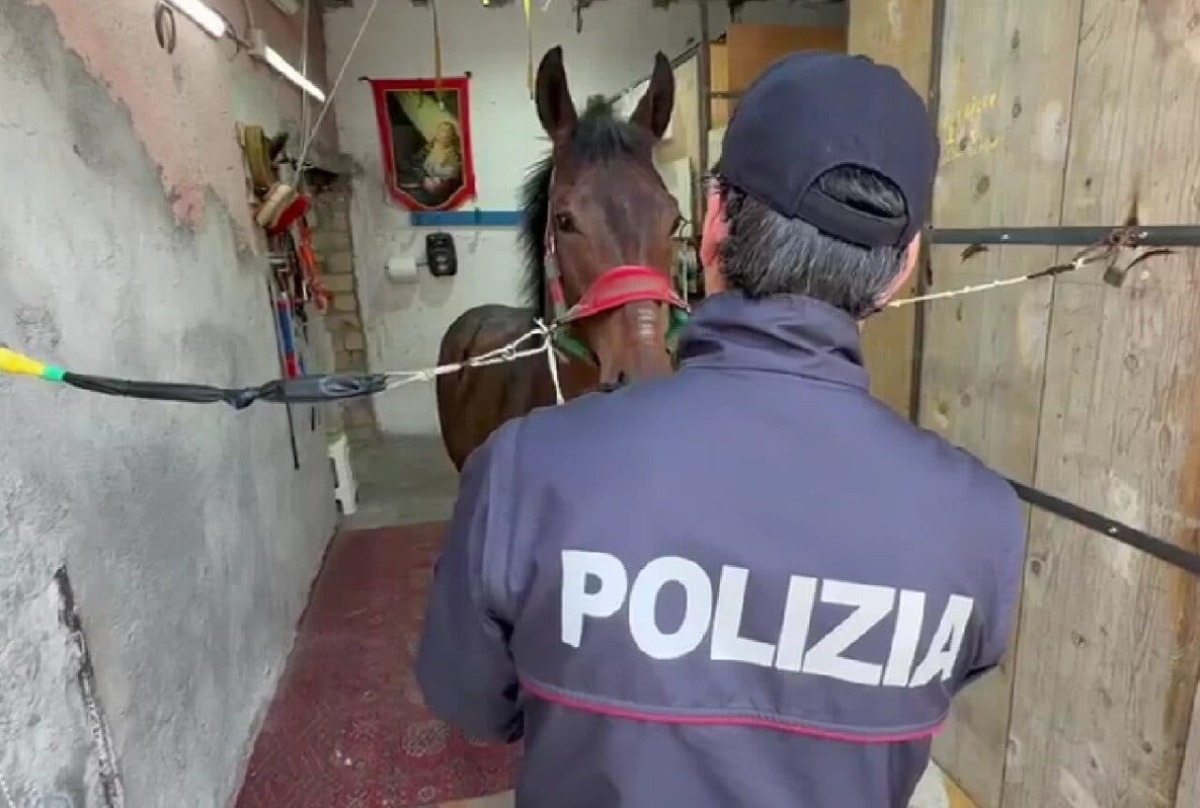 Video shock della corsa clandestina con colpi di pistola: due denunciati - 