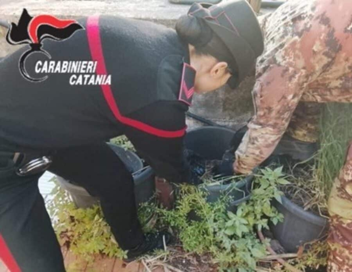 Paternò, scoperto “bunker” della droga: 21enne in manette - 