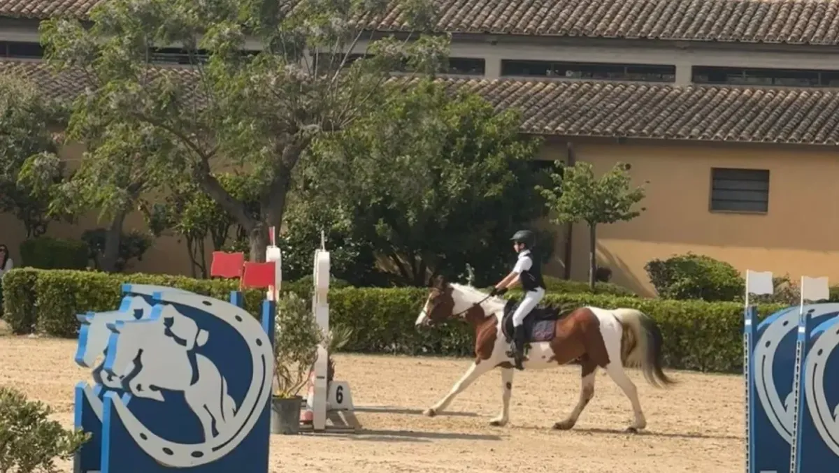 Motta Sant’Anastasia, il centro ippico Vasadonna conquista l’Italia: weekend di vittorie e successi - 