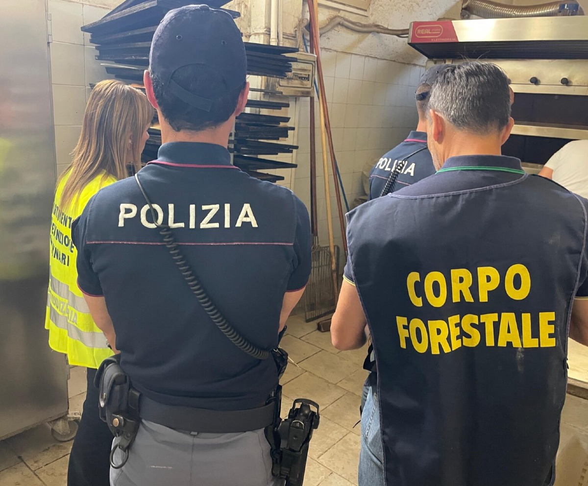 Blitz in un bar di Tremestieri Etneo: mosche, formiche e intonaco sul cibo, scattano sanzioni - 