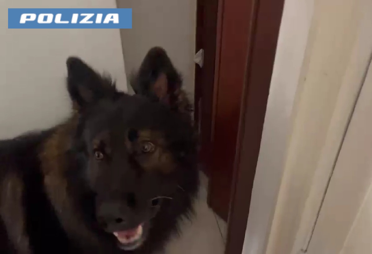 Catania, nasconde 3,5 chili di droga in casa della nonna: arrestato 35enne - 