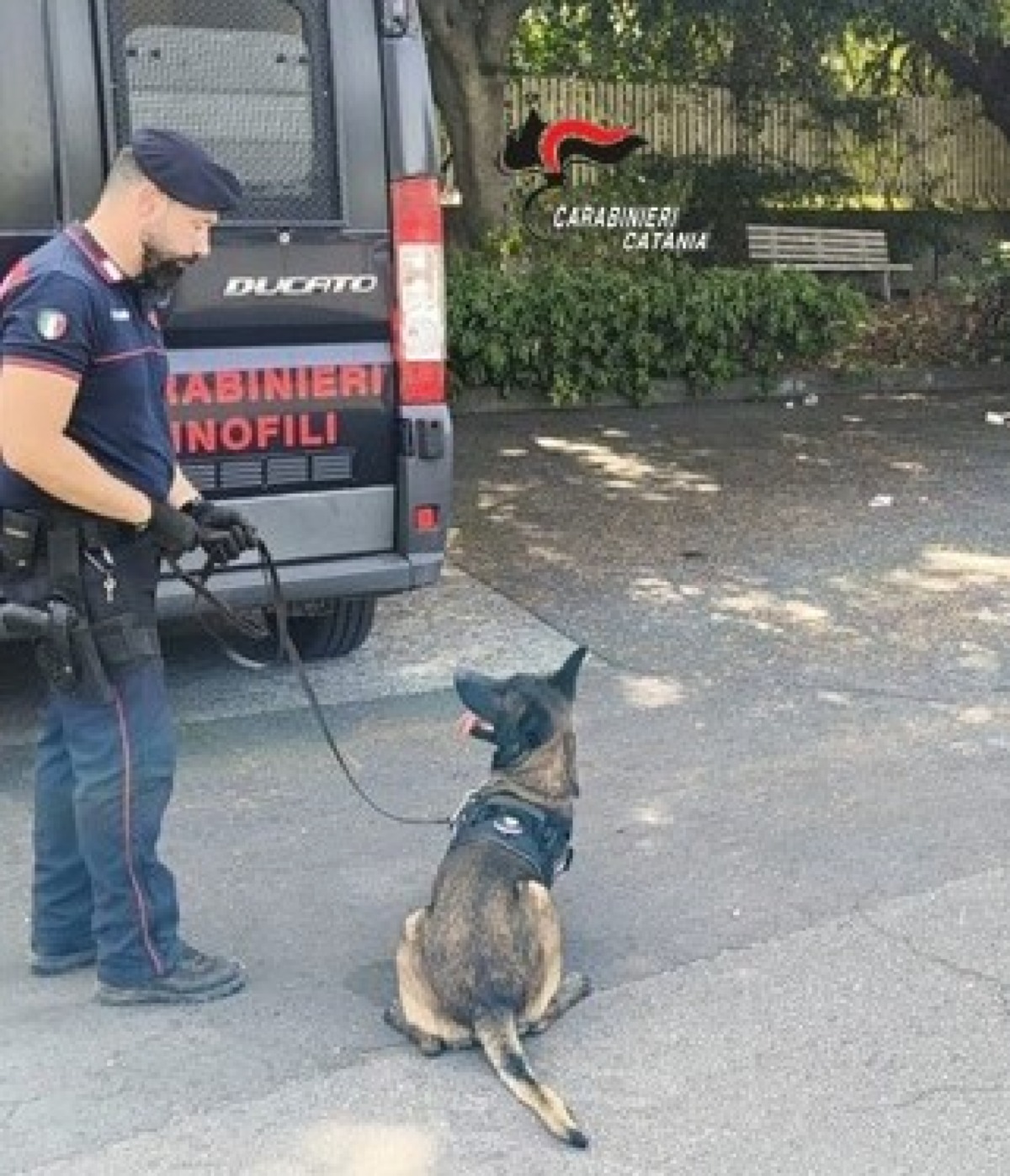 Paternò nascondeva marijuana e bilancino in lavanderia: denunciato un 42enne - 