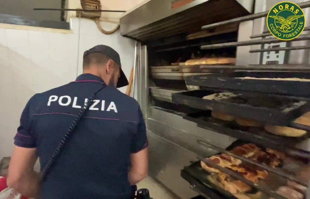 Catania, quasi 90 chili di prodotti sequestrati e veranda abusiva: maxi blitz della task force della Polizia - 