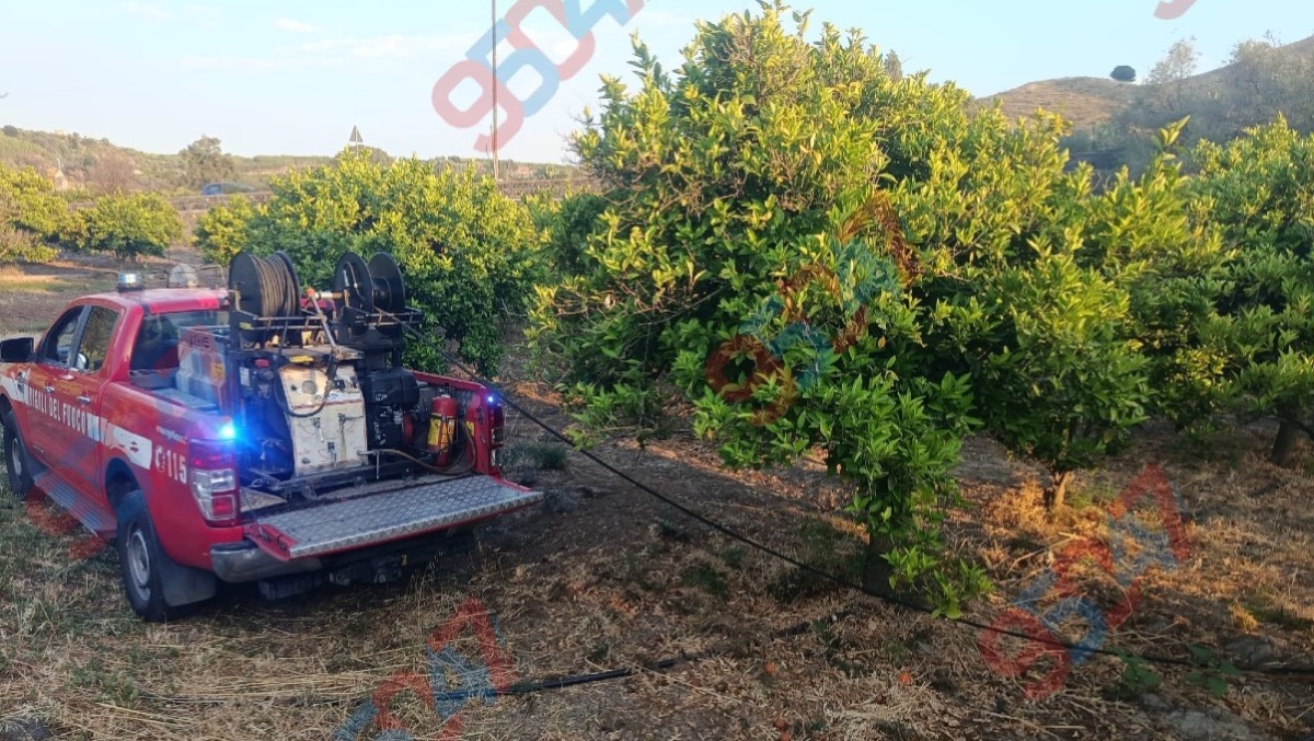 Paternò, dopo il rogo di ieri nuovo incendio a Pietralunga: caldo e vegetazione secca alimentano le fiamme - 