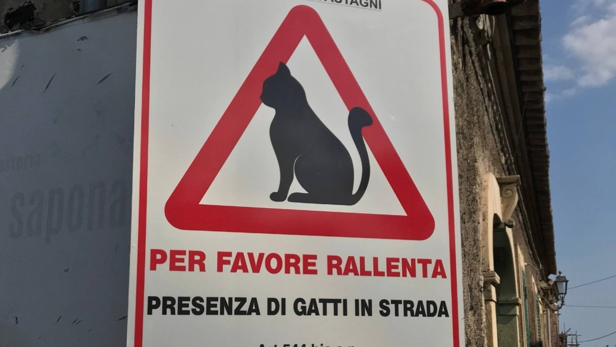 Trecastagni, spuntano cartelli e fototrappole per chi fa del male ai randagi - 