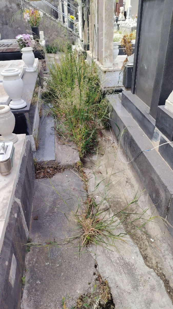 100526 cimitero 