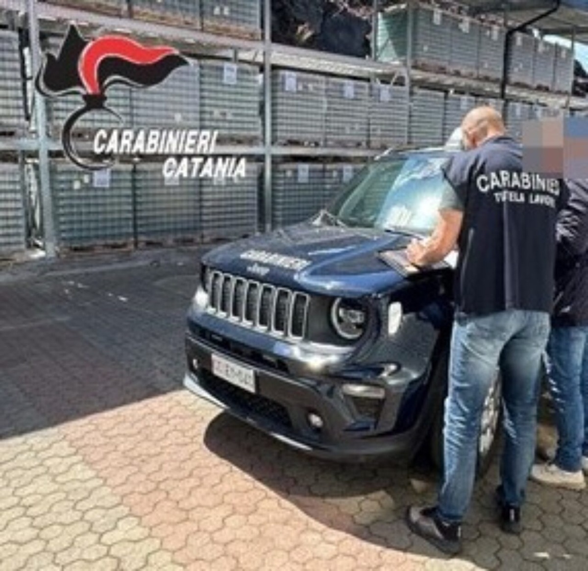 Bronte, controlli dei Carabinieri in azienda agricola: imprenditore denunciato - 