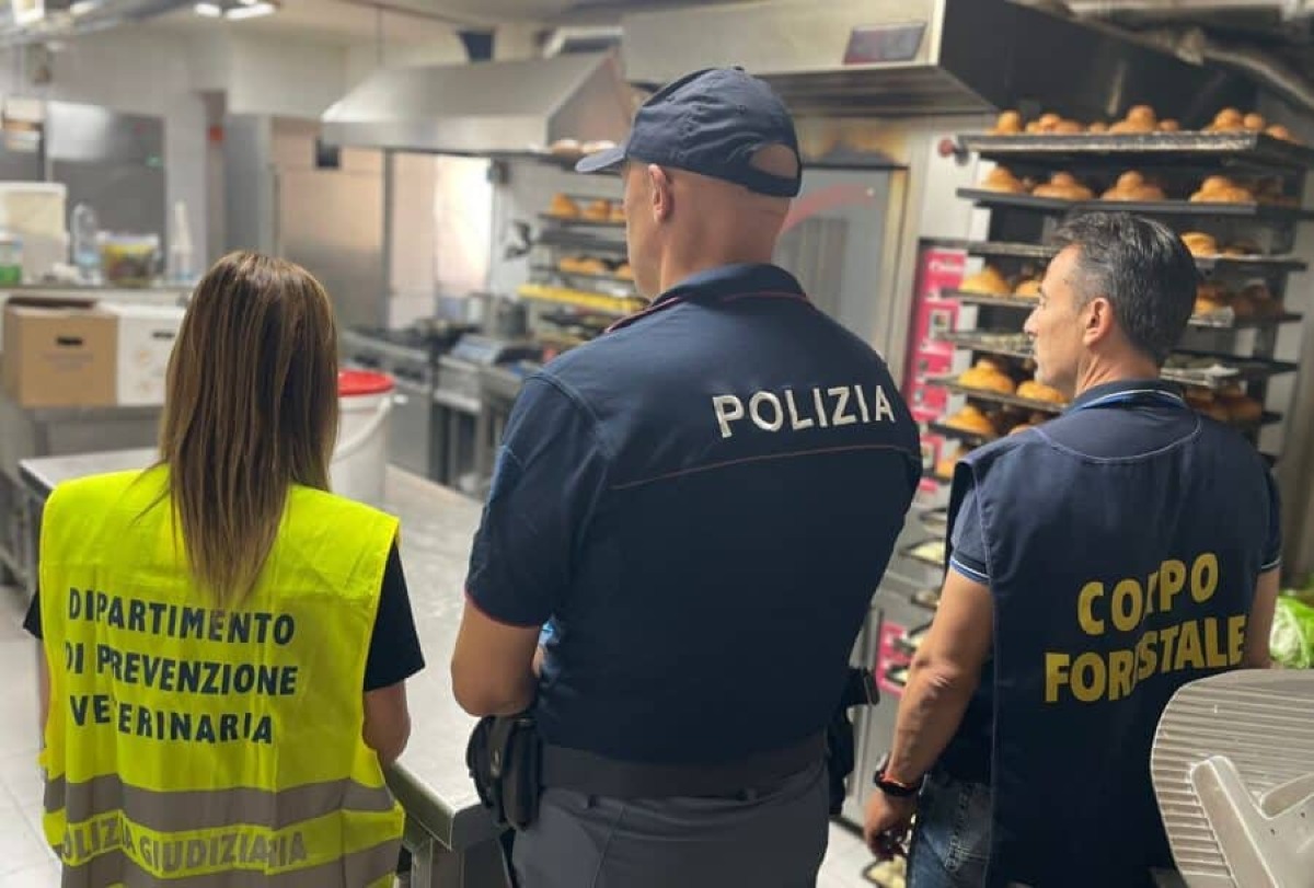CATANIA, BLITZ IN UN BAR DI VIALE MARIO RAPISARDI: DUE LAVORATORI IN NERO E 152 KG DI ALIMENTI SEQUESTRATI - 