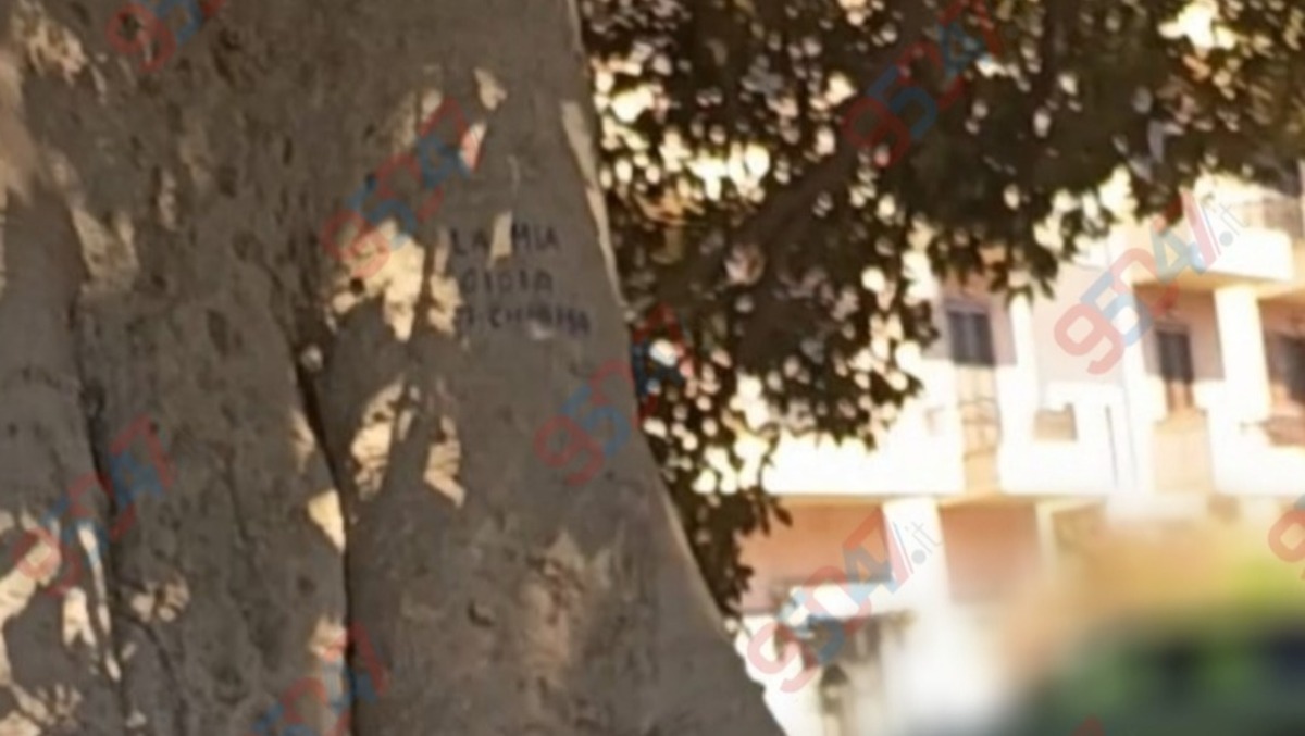 Sfregiato il grande albero all'ingresso di Paternò: compare la scritta "La mia gioia si chiama" - 