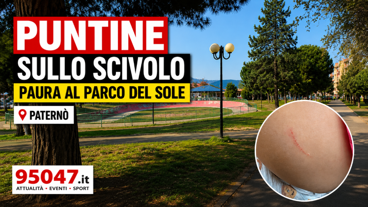 🔴 Puntine sullo scivolo al Parco del Sole: scatta la denuncia di una mamma - 