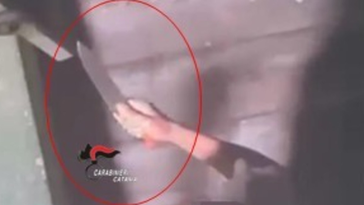 Motta Sant’Anastasia, terrore in condominio: esce con un coltello e aggredisce le vicine, arrestata. - 