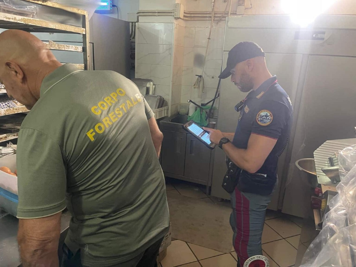 Misterbianco, panificio sospeso: sequestrati 150 chili di alimenti e scoperti due lavoratori in nero - 