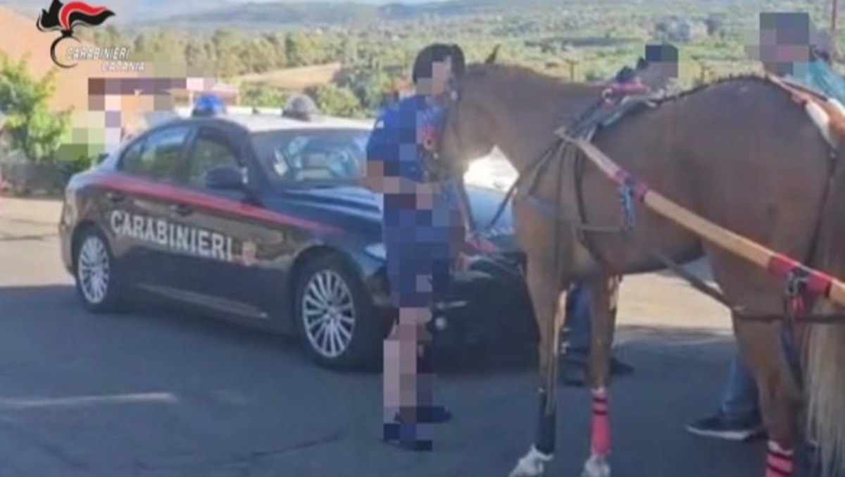 Paternò, corsa clandestina di cavalli pronta a partire sulla SP92: blitz dei Carabinieri, 22 identificati - 