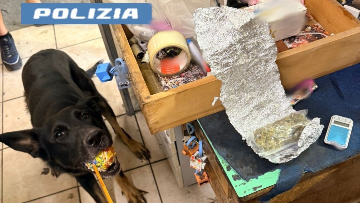 Catania, autolavaggio trasformato in base per lo spaccio: la segnalazione su YouPol fa scoprire la droga - 