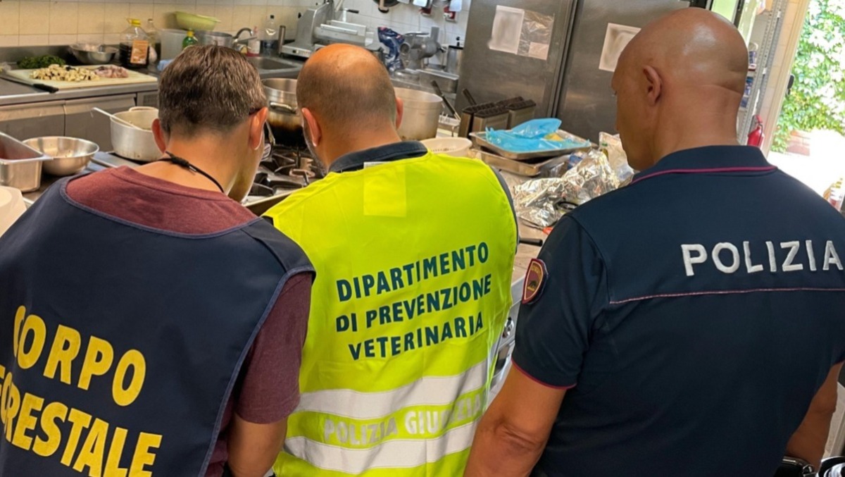 Catania, blitz in un ristorante del centro: sporco, lavoro irregolare e 15 chili di pesce distrutti - 