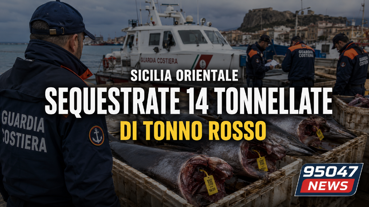 Tonno rosso senza regole, scatta il blitz: sequestrate 14 tonnellate in Sicilia orientale - 