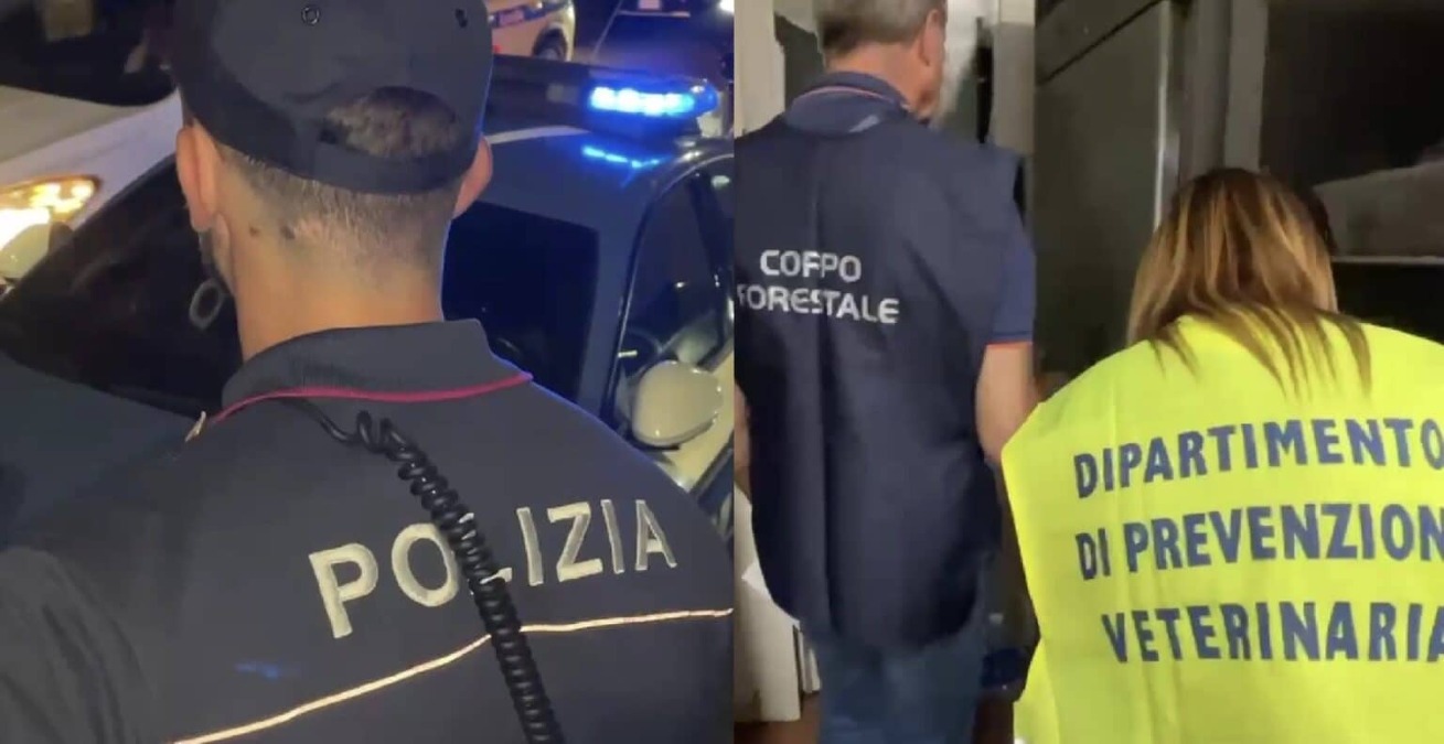 Catania, blitz nei locali: lavoro nero, 32 chili di pesce sequestrati e maxi multe - 