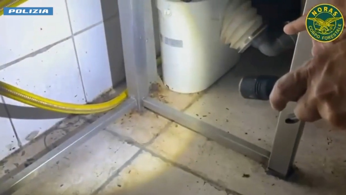 Catania, blatte in cucina e lavoratori in nero: chiusi due ristoranti, multe per oltre 80mila euro - 