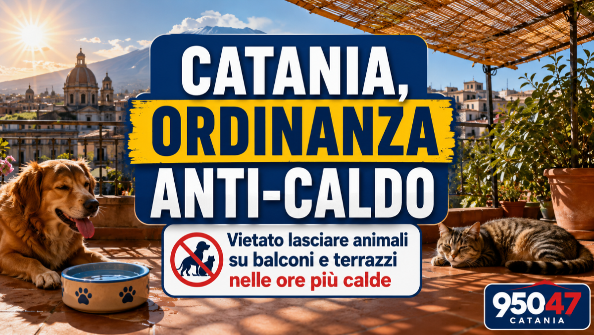 Catania, ordinanza per tutelare gli animali: vietato lasciarli su balconi e terrazzi nelle ore più calde - 