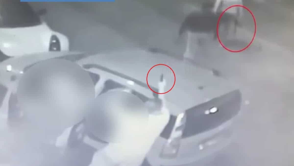 Maxi blitz a Catania, 22 arresti nel gruppo legato al clan Cappello-Bonaccorsi: coinvolti avvocato e medico - 