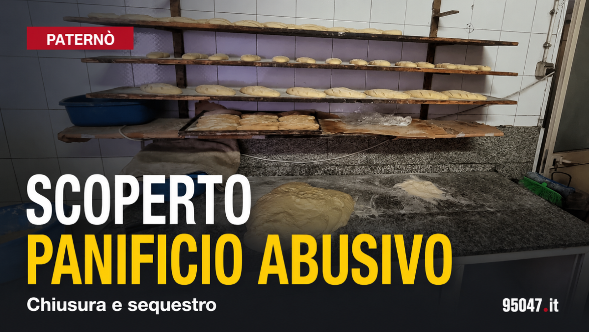 Paternò, scoperto un panificio abusivo: chiusura e sequestro di 20 chili di pane. LE FOTO  - 