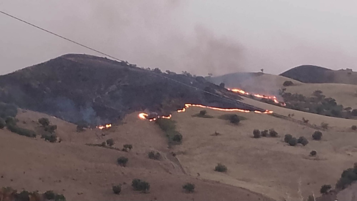 🔴 ALLERTA CALDO. Sicilia in fiamme, paura e evacuazioni: case minacciate, Canadair ed elicotteri in azione - 