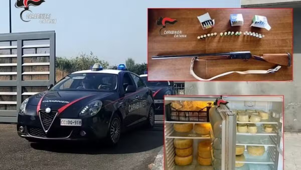 Catania, fucile e 72 cartucce nascosti in una masseria: sequestrati anche 70 kg di formaggi abusivi - 