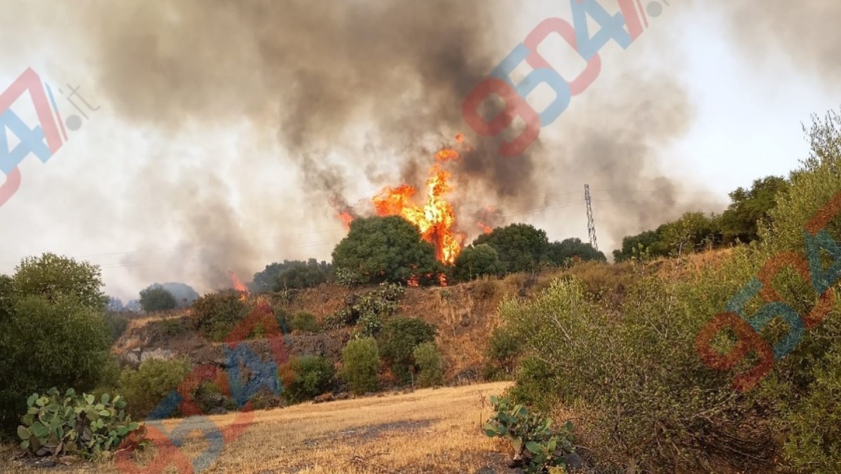 🔴 ULTIM’ORA  – Belpasso, vasto incendio in zona Acquarossa: alte fiamme, Vigili del Fuoco sul posto - LE FOTO 