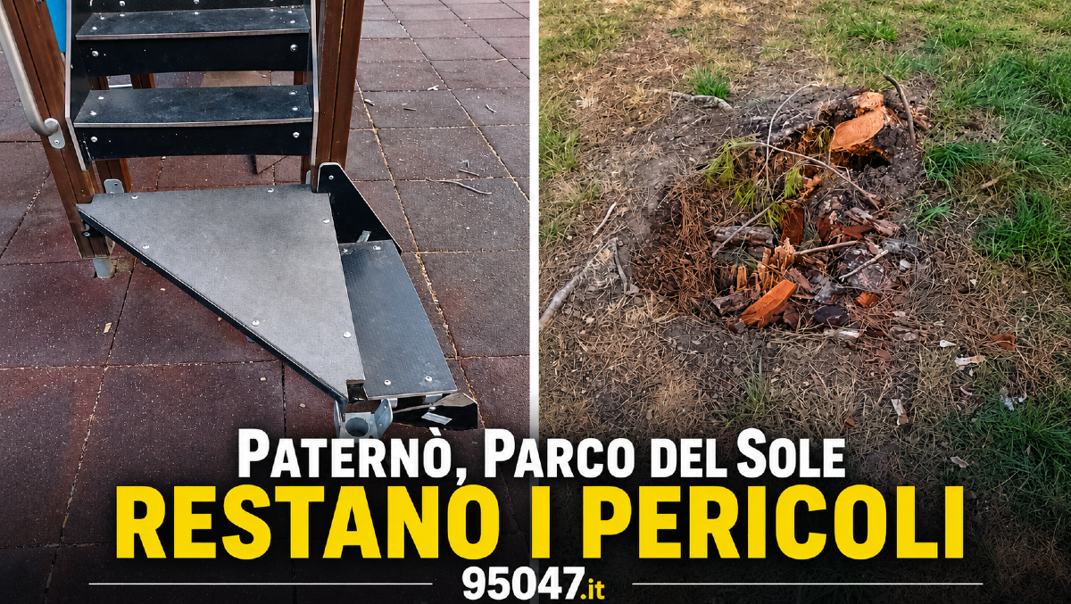 Paternò, Parco del Sole: rimosso l’albero caduto, ma restano pericoli nell’area giochi - LE FOTO  - 