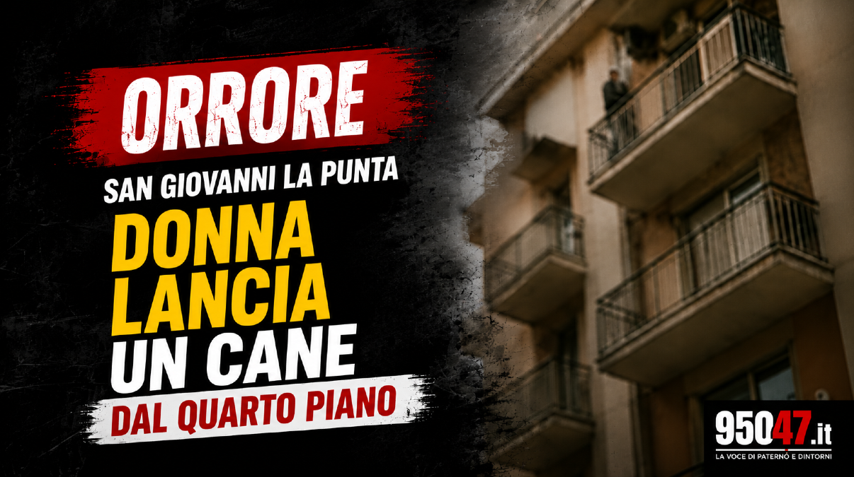 San Giovanni La Punta, donna lancia un cane dal quarto piano: animale sopravvive, per lei scatta il TSO - 