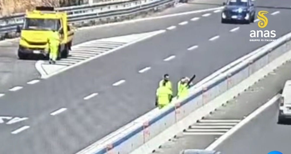 Catania, gattino scappa dal trasportino e finisce sulla Tangenziale: salvato dagli uomini Anas e dalla Polizia Stradale - 