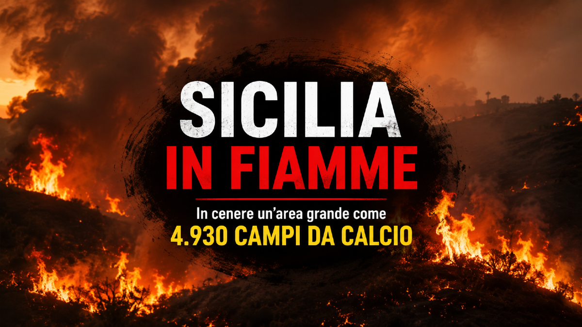 Sicilia in fiamme: in cenere un'area grande come 4.930 campi da calcio - 