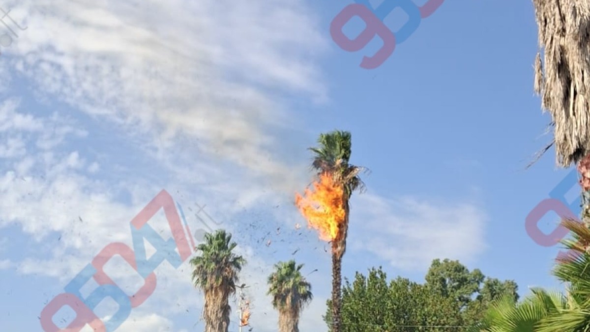 Paternò, due incendi nel pomeriggio: sterpaglie e palme in fiamme a Corso Italia e Villa Moncada - 