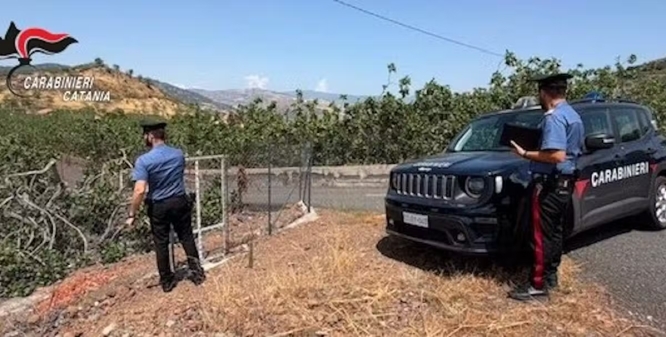 Bronte, sorprende un ladro nel pistacchieto e lo affronta: arrestato 64enne di Adrano - 