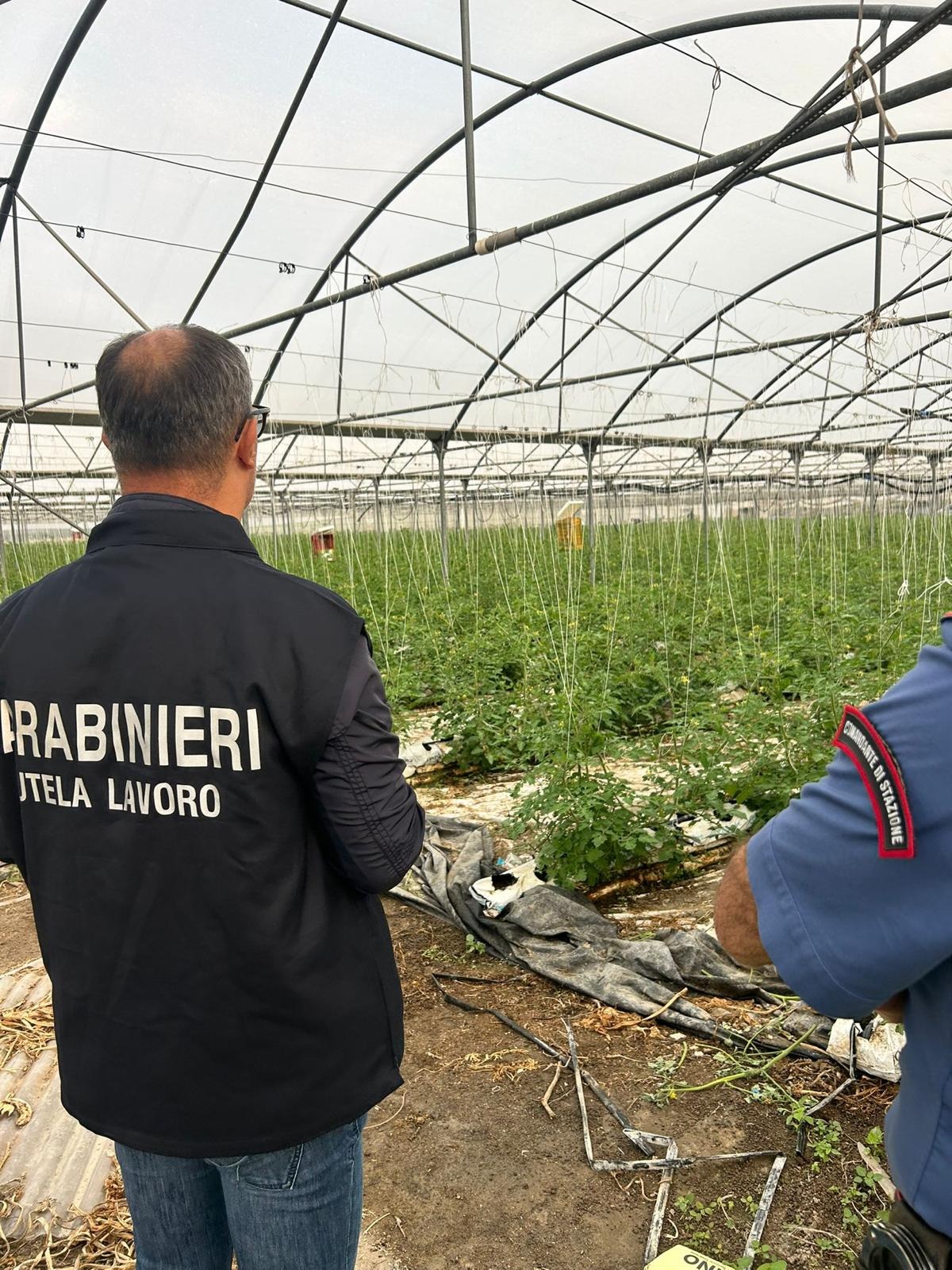 Pagati 1 euro a cassetta e costretti a vivere nel degrado: blitz tra Enna e Regalbuto, in azione anche i Carabinieri di Paternò - 