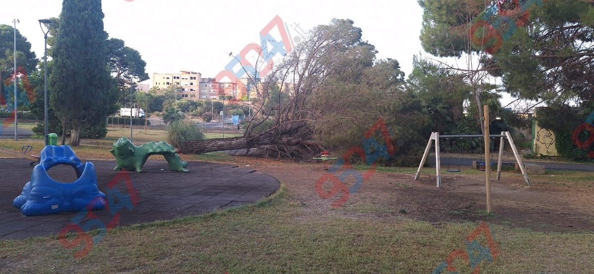 Galleria del 18/07/2026 06:00