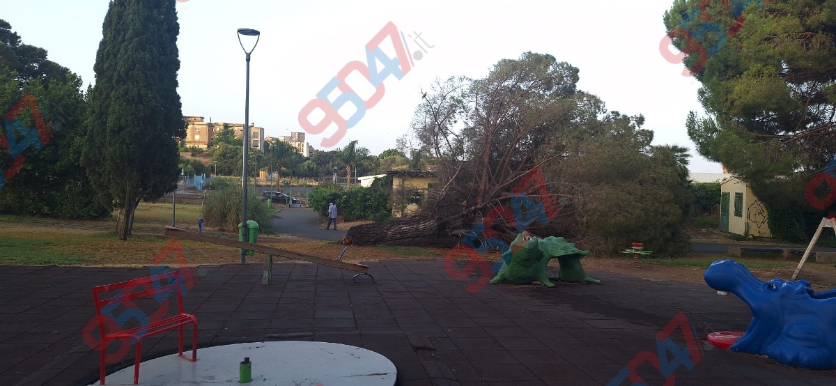 Galleria del 18/07/2026 06:00