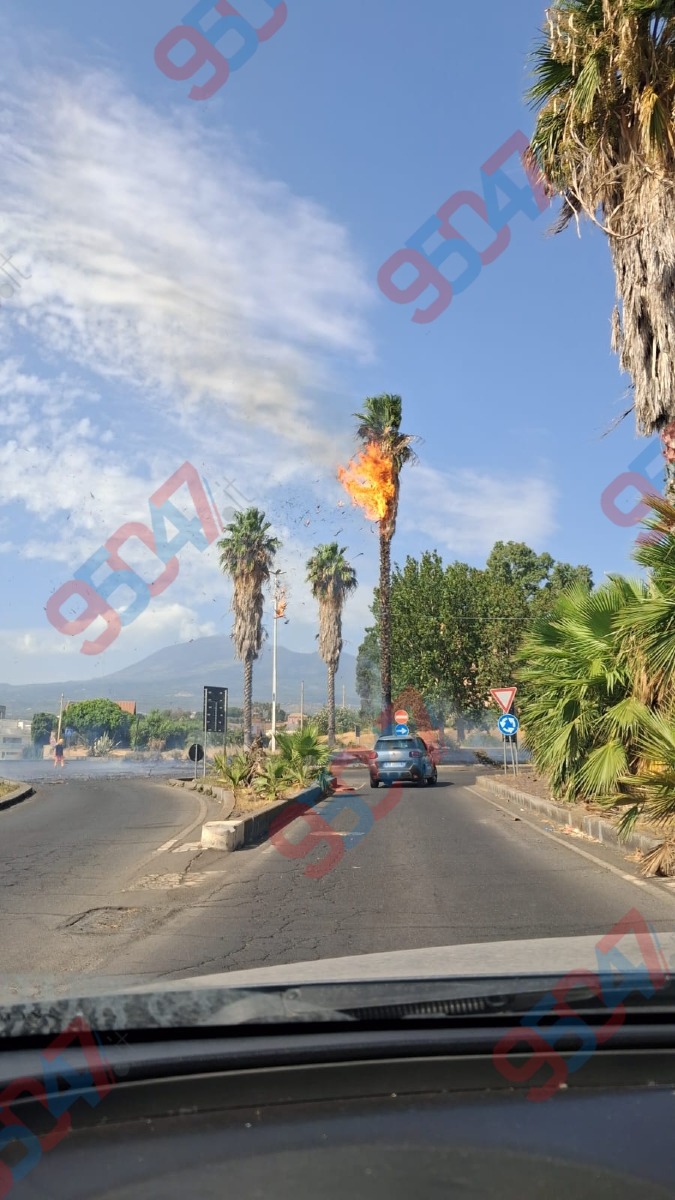 Galleria del 29/07/2026 15:21
