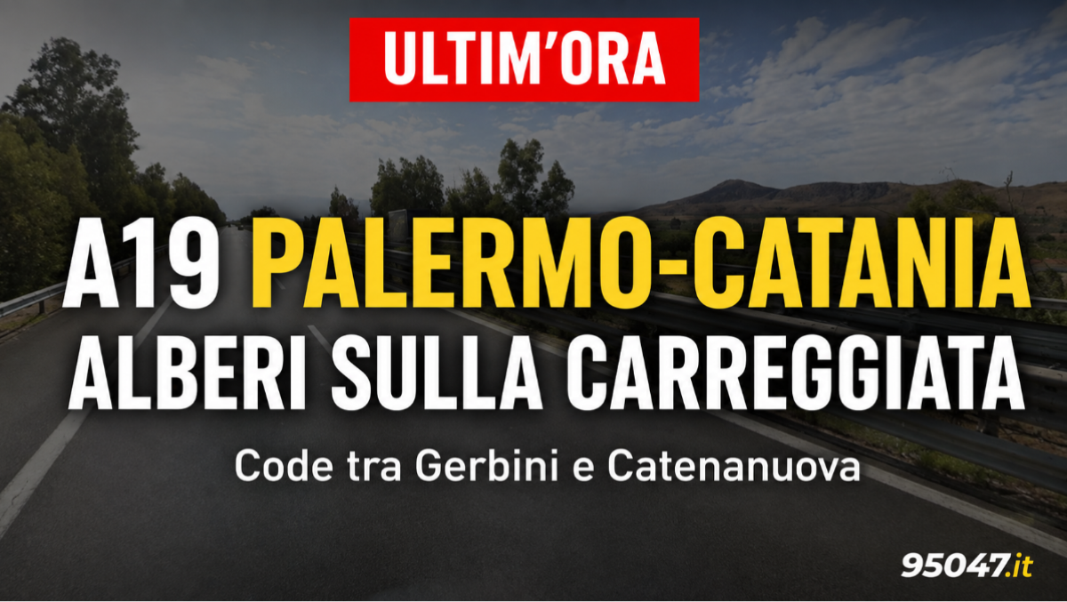 ULTIM’ORA – A19 Palermo-Catania, alberi sulla carreggiata dopo il temporale: lunghissime code in entrambi i sensi - 