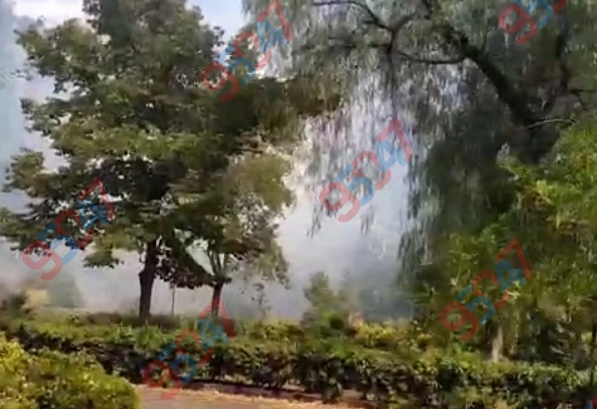 🔴🔴 Paternò, ancora un incendio all'interno della Villa Moncada: è il terzo in poche settimane - 