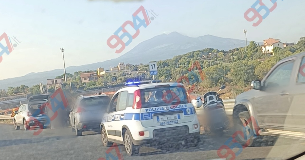 Nessun incidente sulla Statale 121: cane salvato dagli automobilisti, evitato il peggio - 
