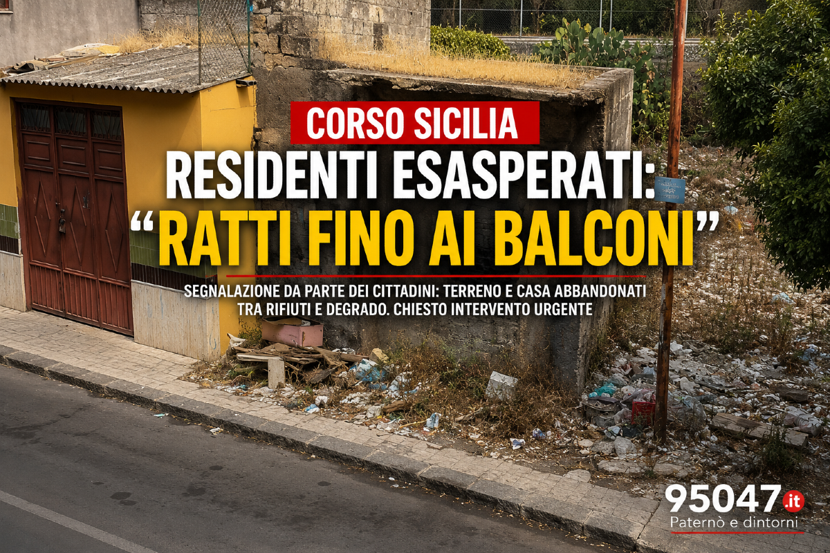Paternò, degrado in Corso Sicilia: "Ratti fino ai balconi", la denuncia dei residenti - 