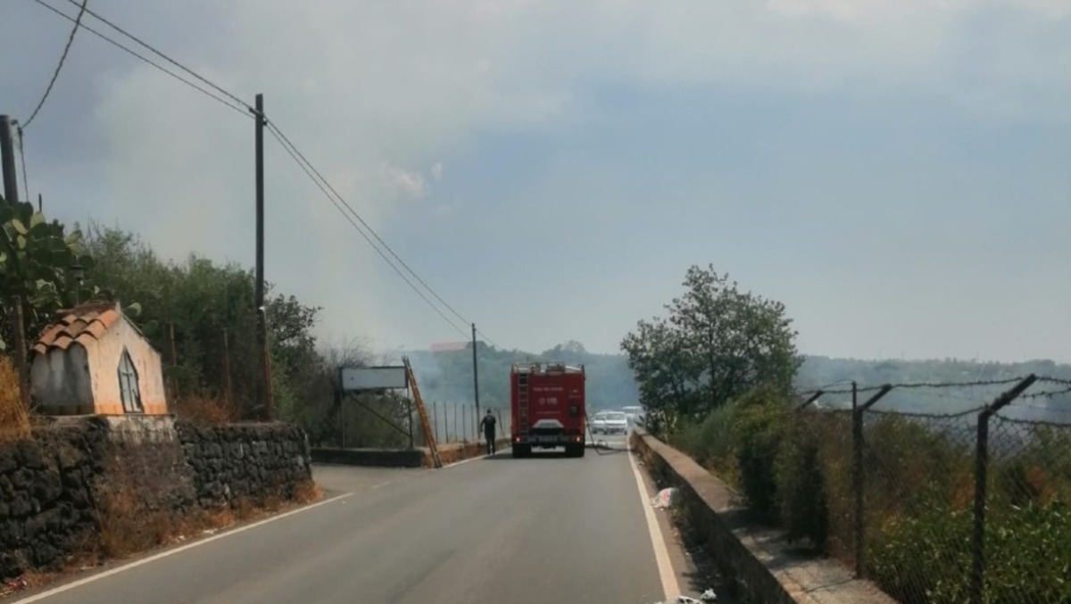 Incendio lungo la SP4 tra Santa Maria di Licodia e Ragalna: in fiamme sterpaglie e rovi, sul posto i Vigili del Fuoco - 