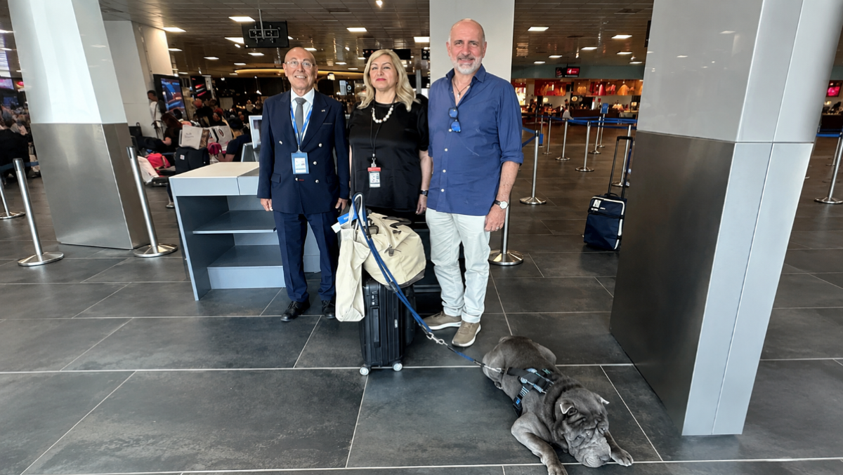 Palermo, storico primo volo Ita Airways con un cane di grossa taglia a bordo: Geppino vola fino a Milano - 