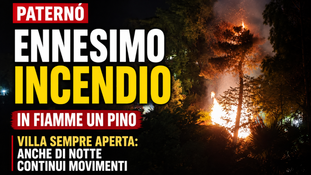 Paternò, ieri sera ennesimo incendio alla Villa Moncada: brucia un pino, residenti chiedono la chiusura notturna - 