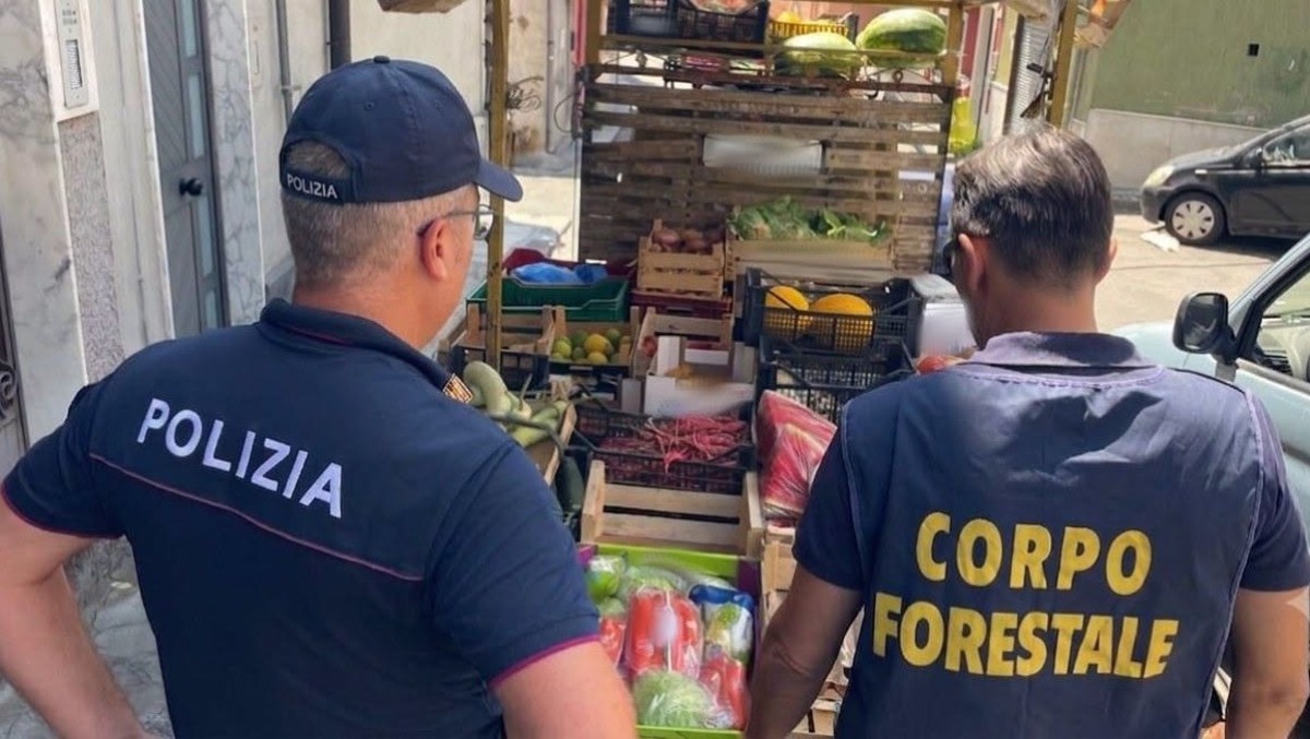 Adrano, blitz contro gli ambulanti abusivi: sequestrati 325 chili di prodotti e multe per oltre 12mila euro - 