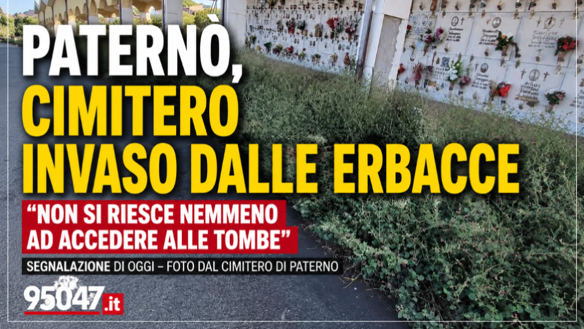 Paternò, cimitero invaso dalle erbacce: «Non si riesce nemmeno ad accedere alle tombe» - 