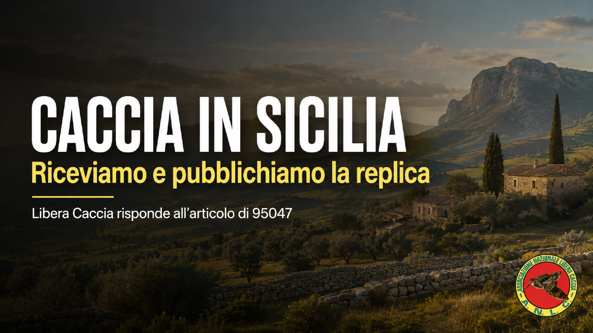 Caccia in Sicilia, la replica di Libera Caccia all’articolo di 95047: «La caccia non è una vergogna» - 