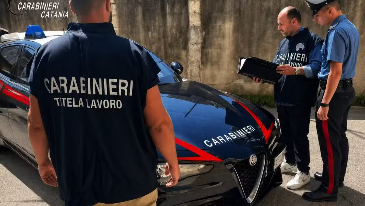 Mineo, blitz dei Carabinieri in un’azienda agricola: titolare denunciato e maxi multa sulla sicurezza - 
